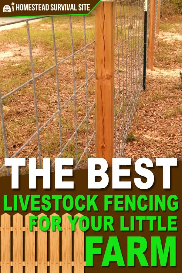 The Best Livestock Fencing For Your Little Farm