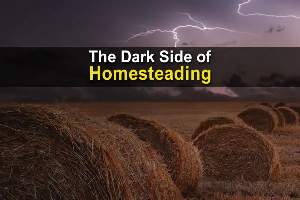 The Dark Side Of Homesteading