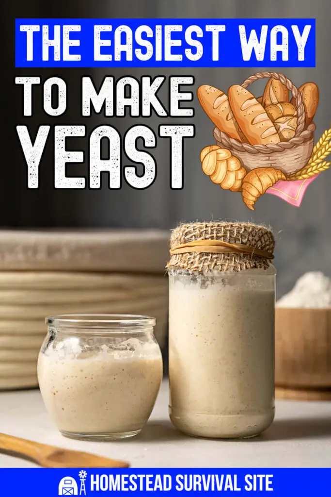 The Easiest Way to Make Yeast