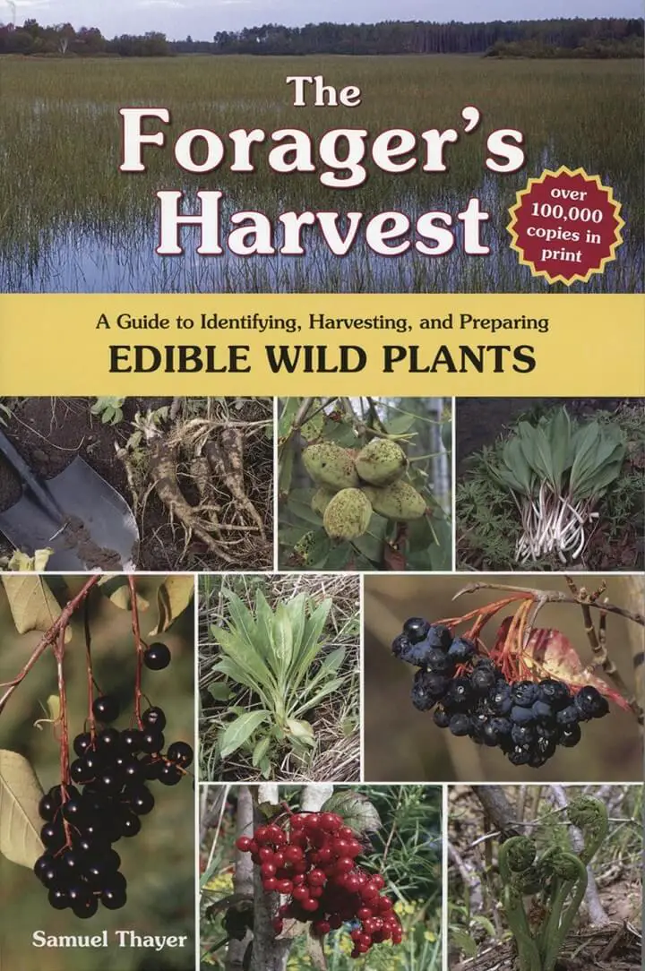 The Forager’s Harvest: A Guide to Identifying, Harvesting, and Preparing Edible Wild Plants by Samuel Thayer