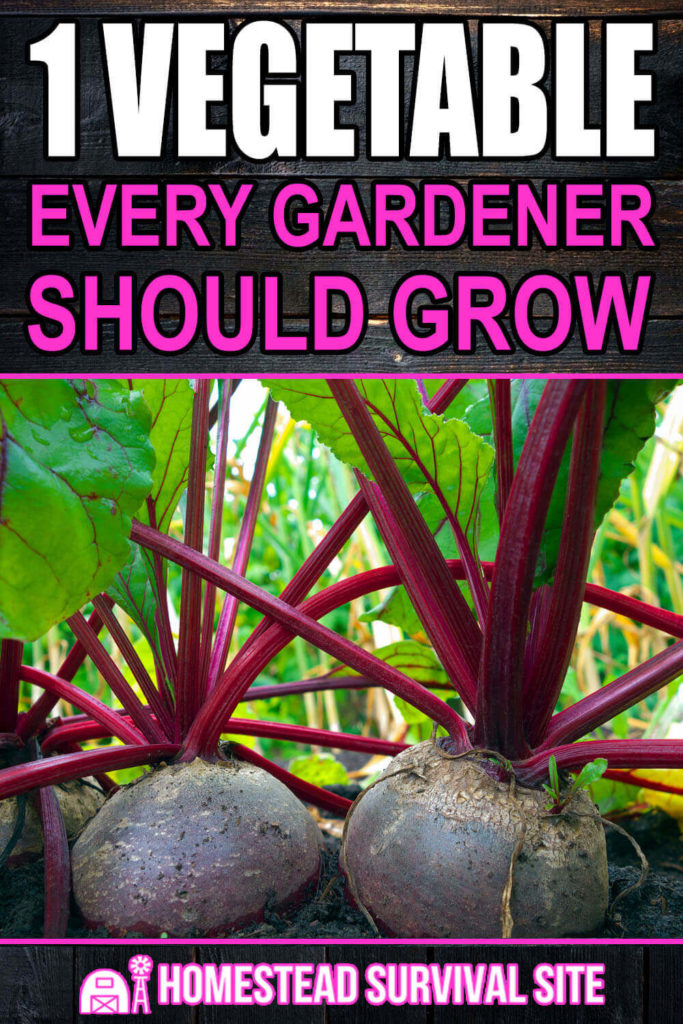 The One Vegetable Every Gardener Should Grow