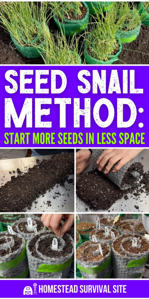 The Seed Snail Method: Start More Seeds in Less Space