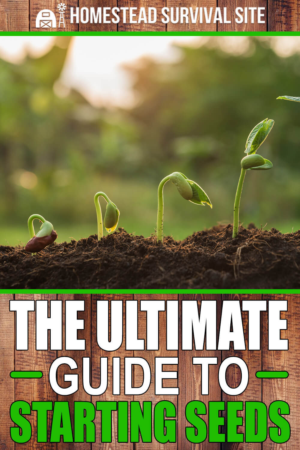 The Ultimate Guide to Starting Seeds