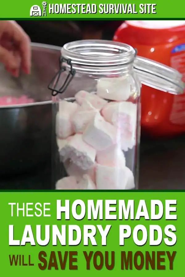 These Homemade Laundry Pods Will Save You Money