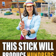 Pinterest Hidden Image