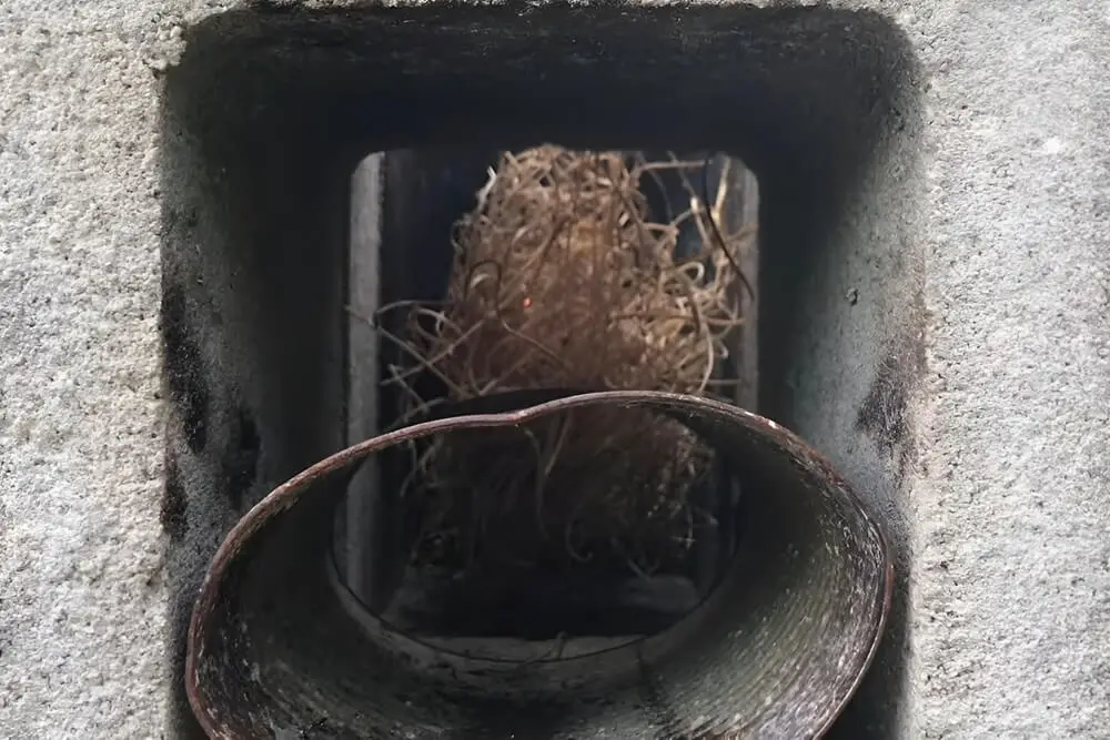 Tinder in Burn Chamber