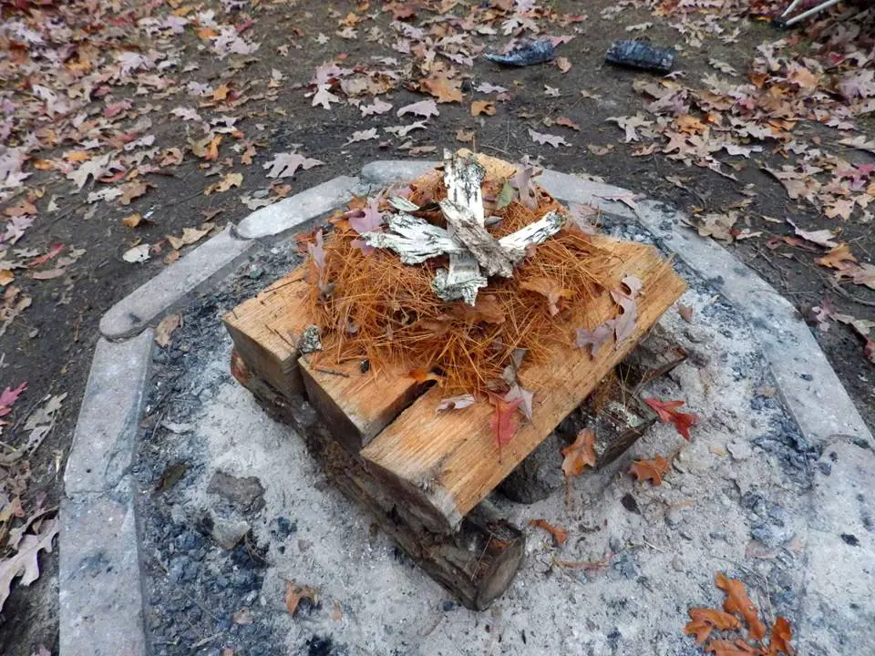 Tinder Nest on Foundation of Logs