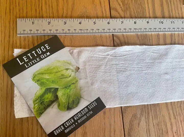 Toilet Paper, Ruler, and Seeds