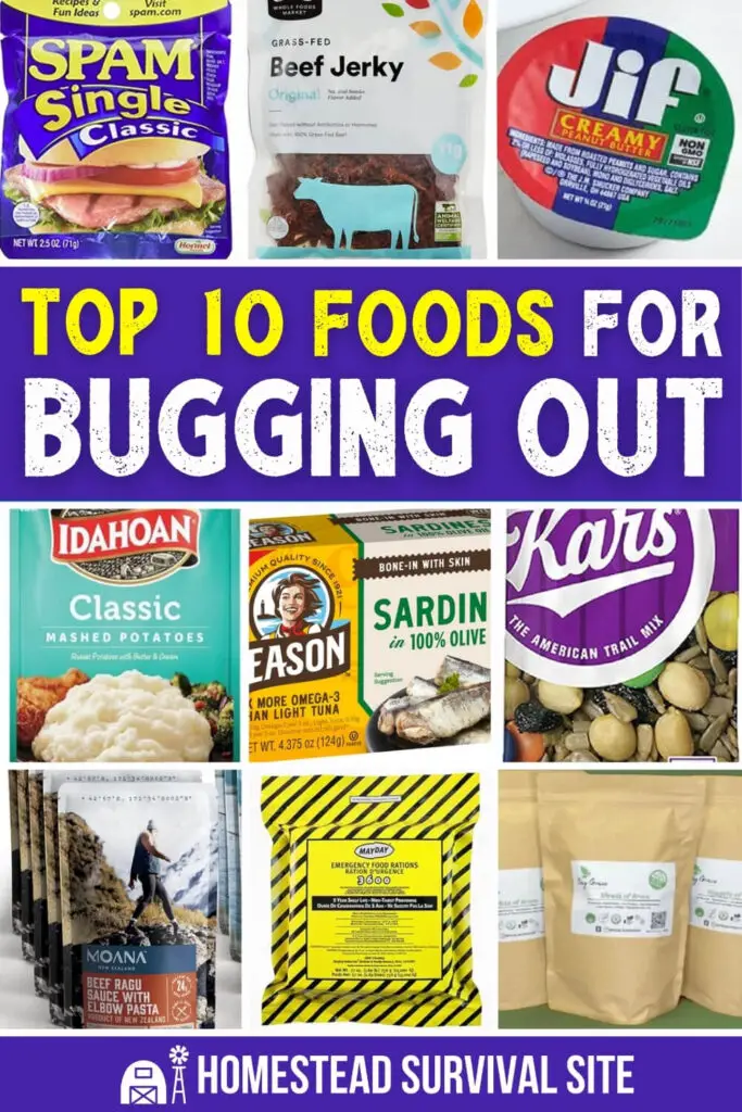 Top 10 Foods for Bugging Out