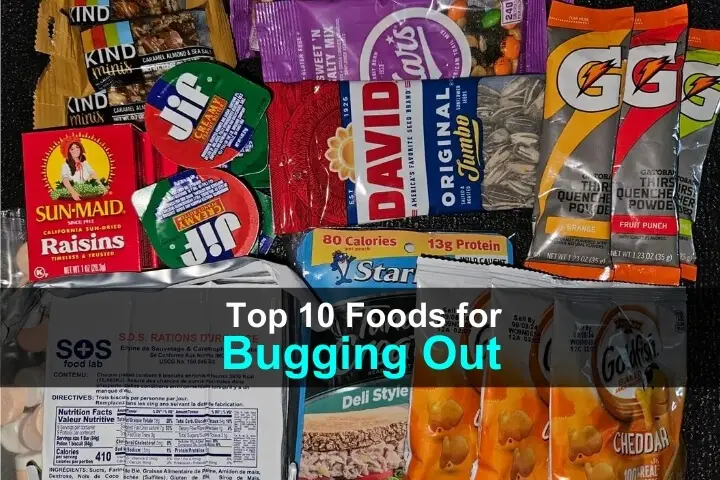 Top 10 Foods for Bugging Out