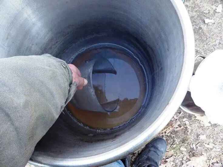 Transferring Sap to Smaller Pot