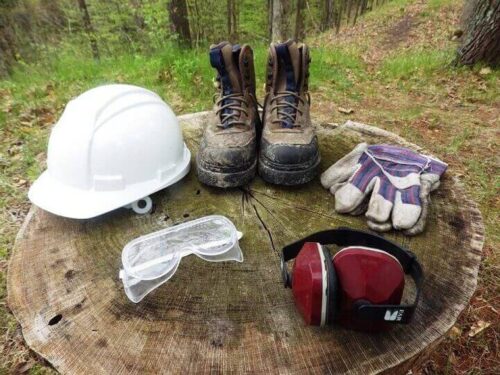 How To Safely Cut Down A Tree