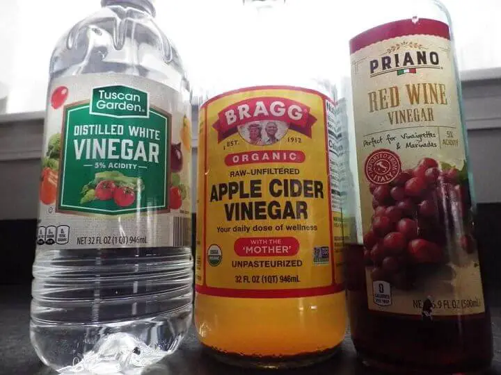 Types of Vinegars
