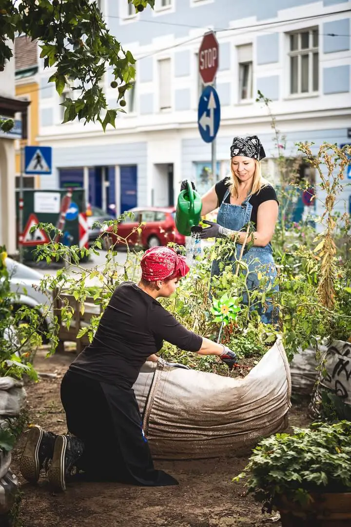 Urban Gardening Community