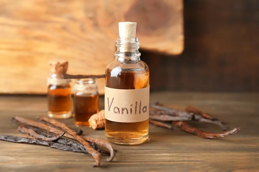 Vanilla Extract in Bottle