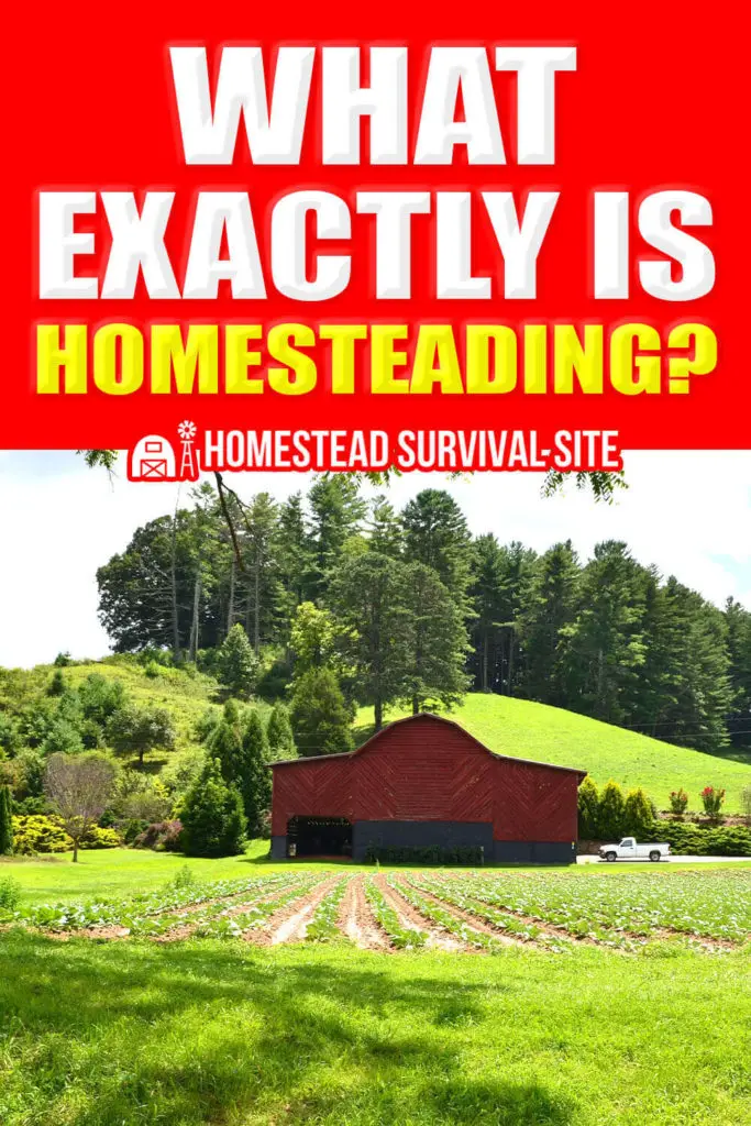 What Exactly Is Homesteading?