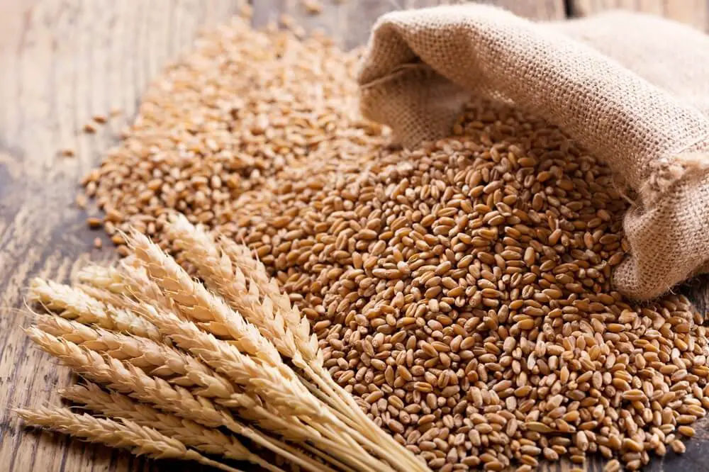 Wheat Berries Spilling Out Of Bag