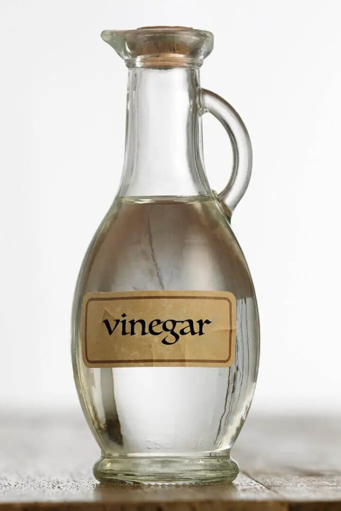 Vinegar in Bottle