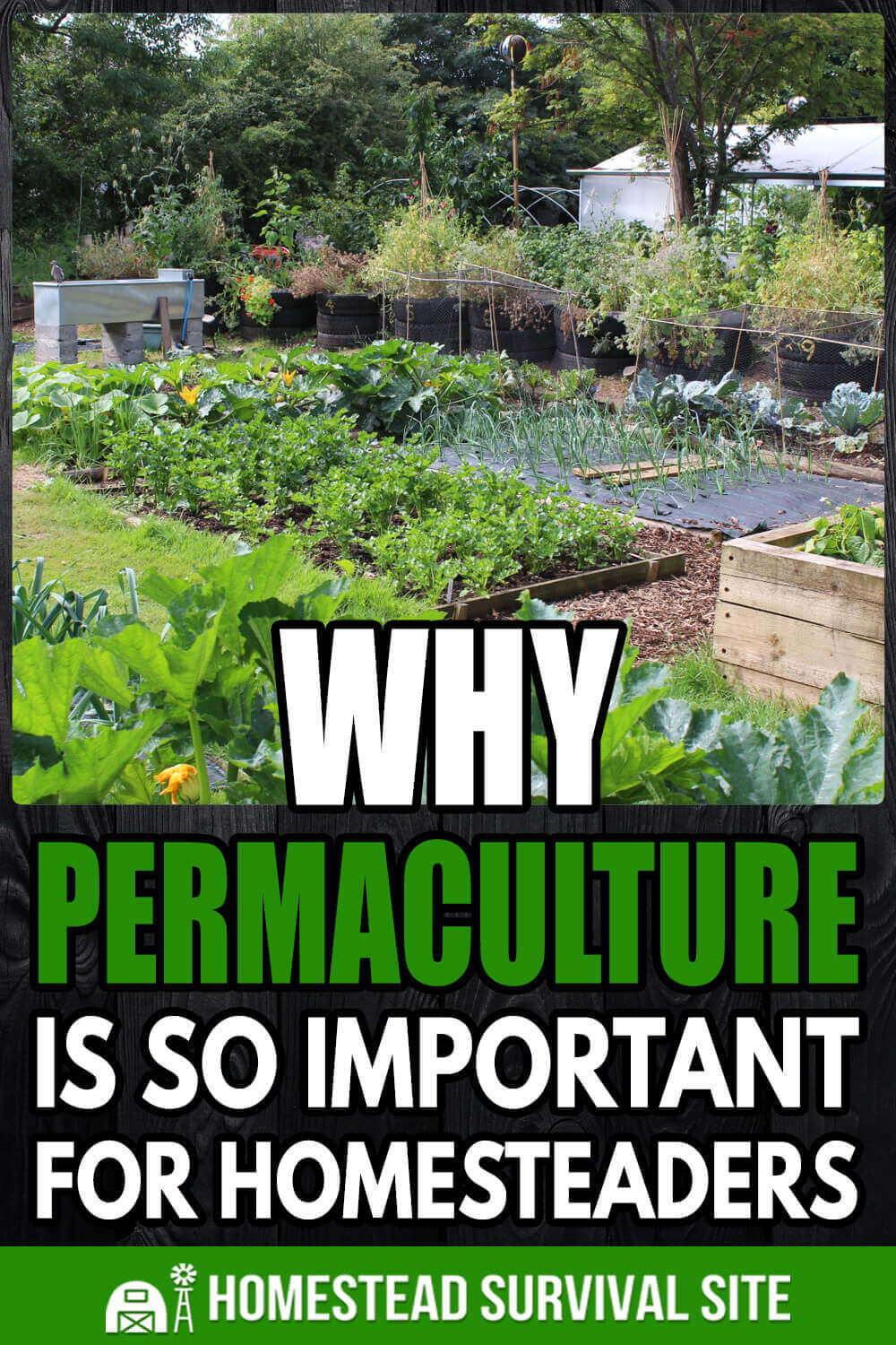 Why Permaculture Is So Important For Homesteaders - TheWorldOfSurvival.Com