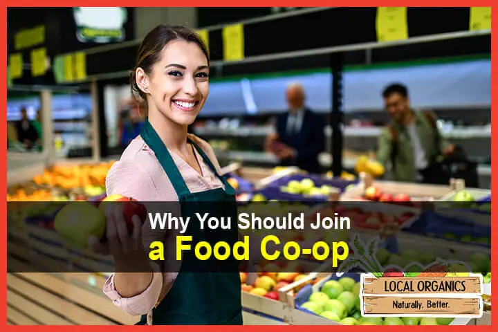 Why You Should Join a Food Co-op