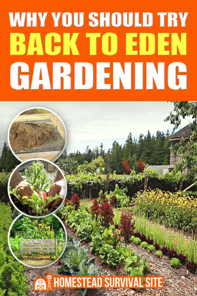 Why You Should Try Back to Eden Gardening