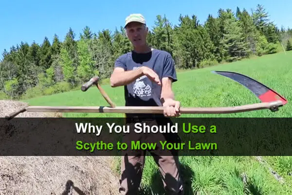 Why You Should Use a Scythe to Mow Your Lawn