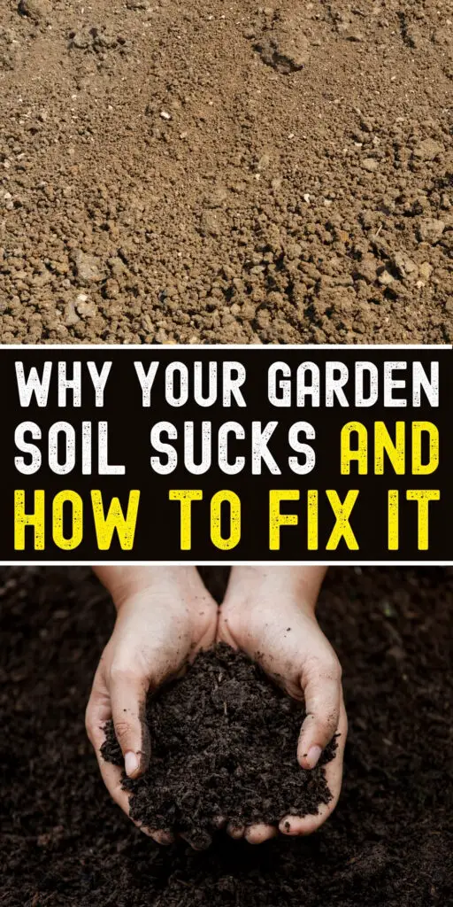 Why Your Garden Soil Sucks and How to Fix It