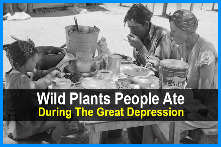 Wild Plants People Ate During The Great Depression