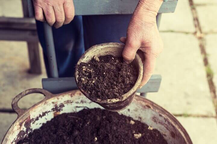 Woman Reusing Old Potting Soil