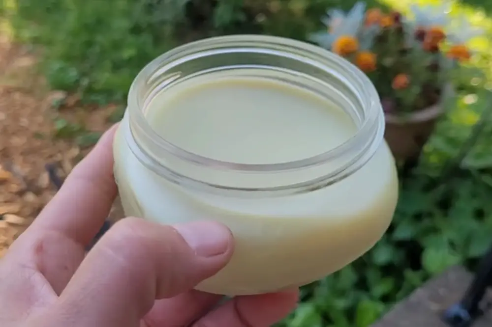 Yarrow Salve in a Jar
