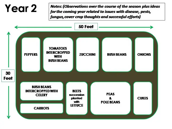 Year 2 Plan and Notes