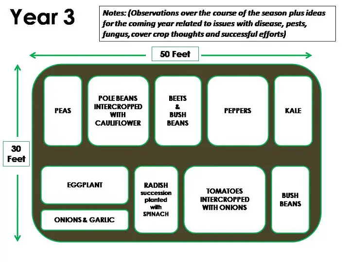 Year 3 Plan