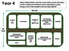 The Complete Guide to Crop Rotation