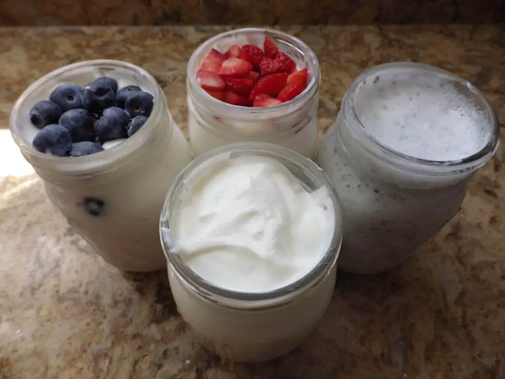 Yogurt Plus Ups in Jars